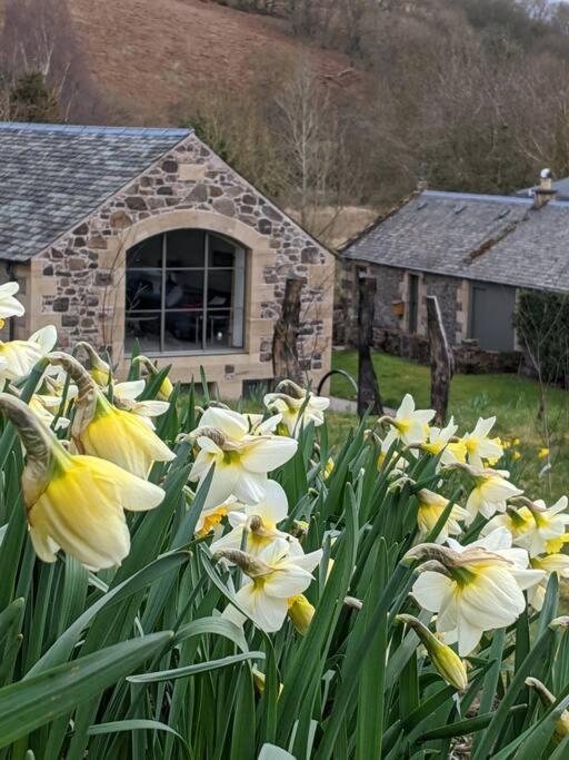 Woodmill Arches - Designer Barn Conversion For Two Lejlighed Lindores Eksteriør billede